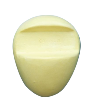 AM05