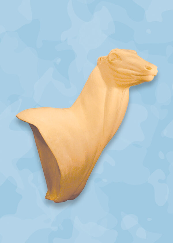 Whitetail deer forms, whitetail forms, whitetail taxidermy forms