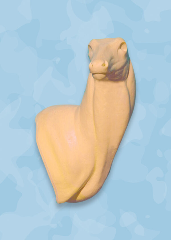 whitetail taxidermy forms, whitetail forms, whitetail deer
