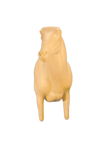 AU41 - AOUDAD