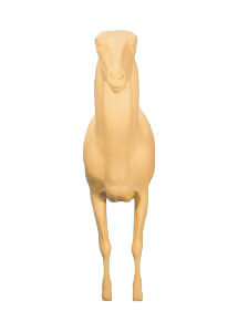 AU45 - AOUDAD