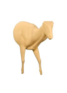 AU48 - AOUDAD