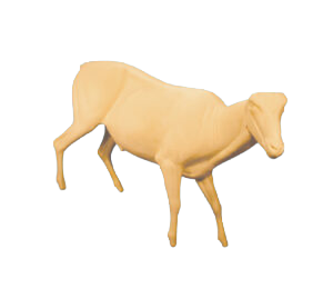 AU50 - AOUDAD