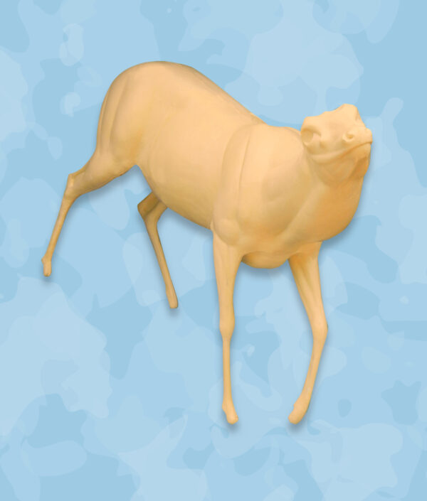 axis Taxidermy Life Size Forms