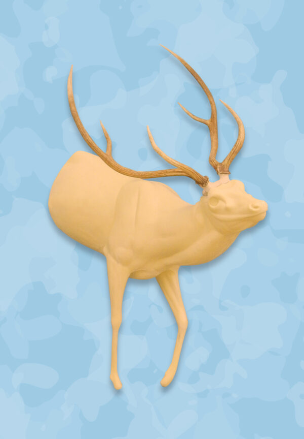 Axis Life Size Taxidermy Forms