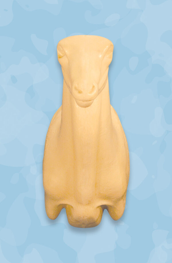 Sheep Taxidermy Forms, Jetz Taxidermy Supply