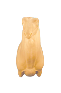FA08 - FALLOW