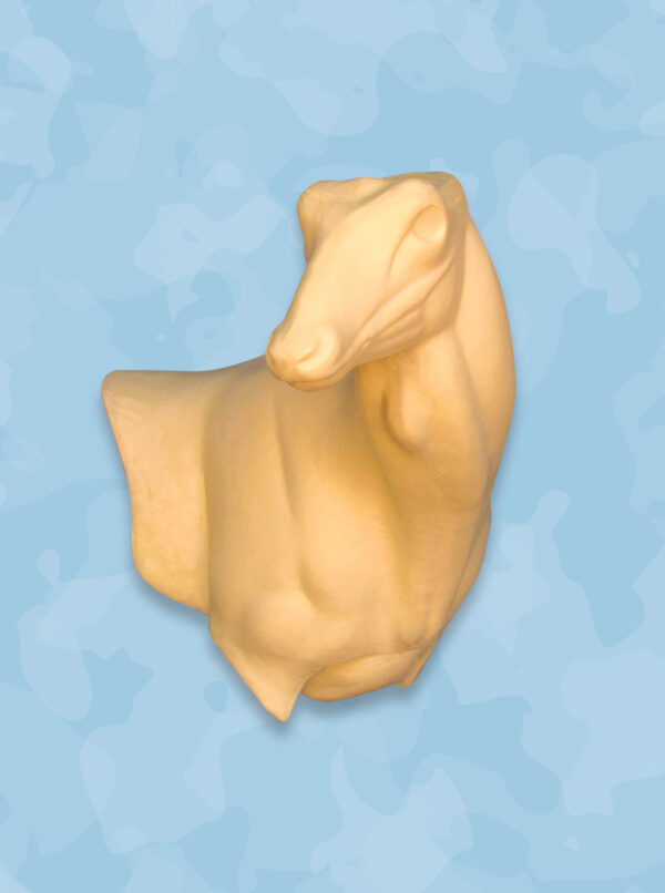 Fallow Taxidermy Forms, Jetz Taxidermy Forms