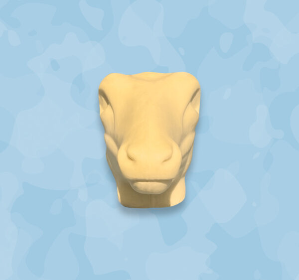 Fallow head, fallow taxidermy head