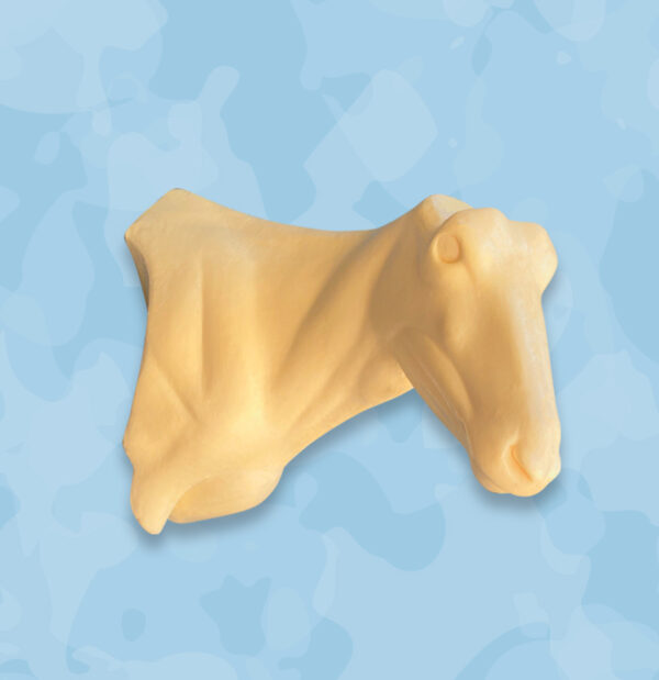 Gemsbok Taxidermy Forms, Jetz Taxidermy Supply