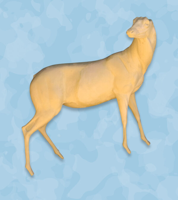 whitetail life size forms, whitetail taxidermy forms, whitetail life size