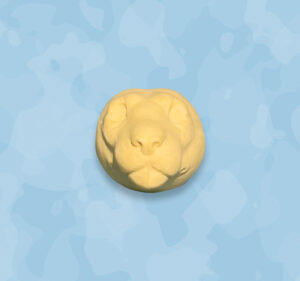 Mountain Lion head, mountain lion head form
