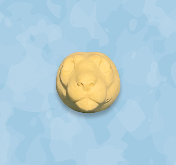 Mountain Lion head, mountain lion head form
