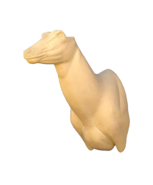 NG240 - NILGAI