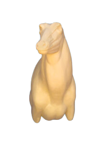 NG261 - NILGAI