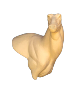 NG263 - NILGAI