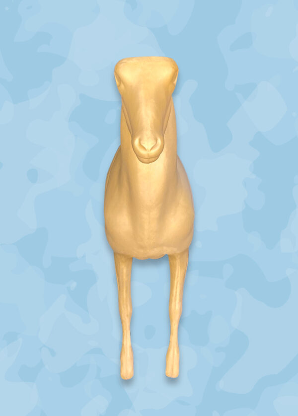 Aoudad Taxidermy Forms