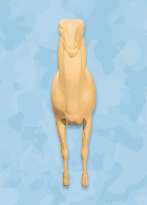 Aoudad Taxidermy Forms
