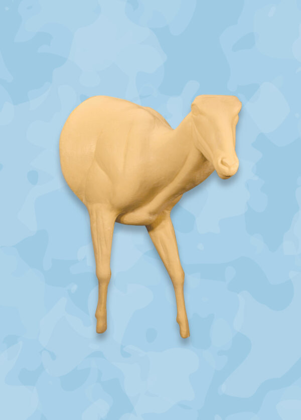 Aoudad Taxidermy Forms