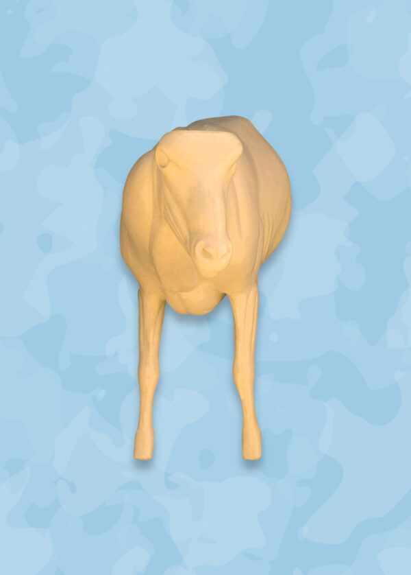 Aoudad Taxidermy Forms