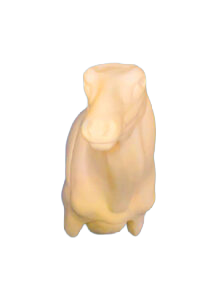 ELK316 - ELK