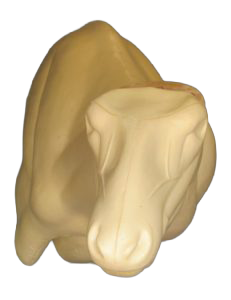 ELK326