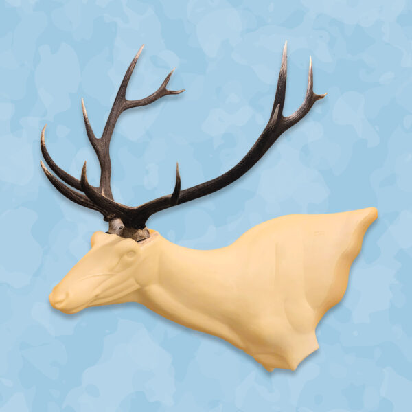 Elk Taxidermy Forms with antlers, Elk Forms