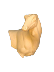 FA23 - FALLOW