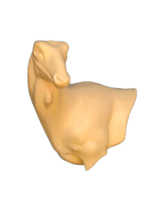 FA24 - FALLOW