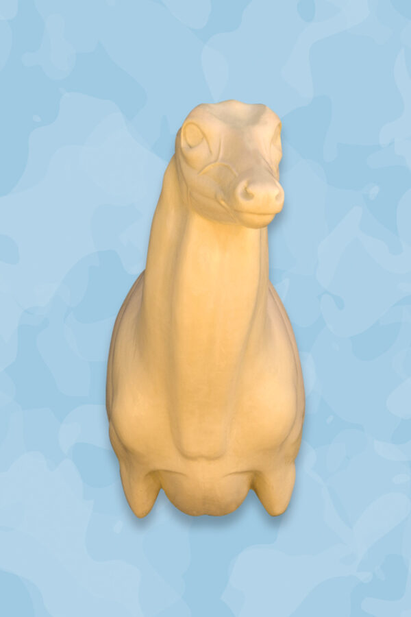 Whitetail Taxidermy Forms, Whitetail forms
