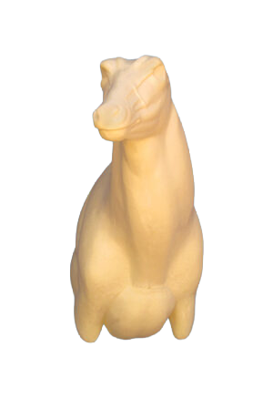 NG241 - NILGAI