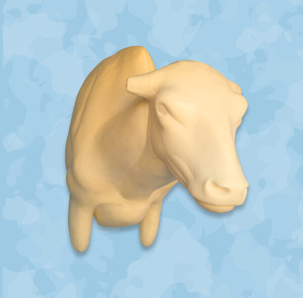 Buffalo Taxidermy Forms, Jetz Taxidermy Supply