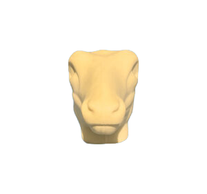 FA HEAD - FALLOW