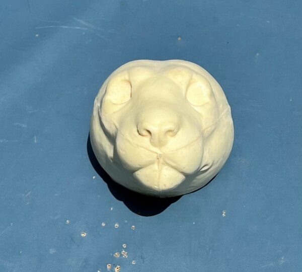 ML, Jetz Taxidermy Supplies