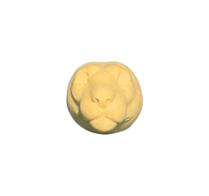 ML HEAD - MOUNTAIN LION