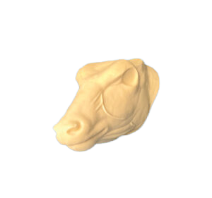 NYALA HEAD