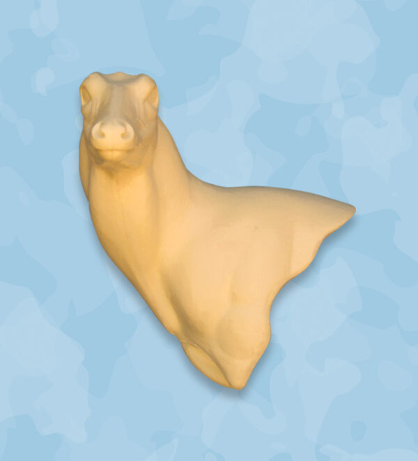 whitetail taxidermy forms, whitetail deer forms