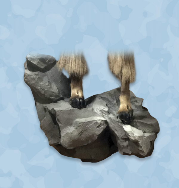 unpainted habitat rock, jetz taxidermy supply