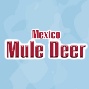 Mexico Mule Deer