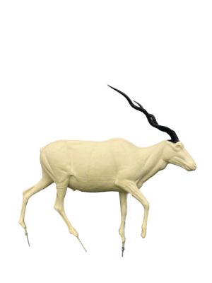 ADX LS - ADDAX