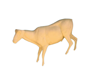 AU60 - AOUDAD