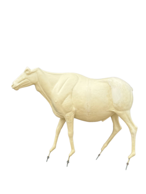 GBLS-BULL - GEMSBOK