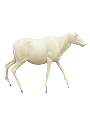 GBLS-COW - GEMSBOK