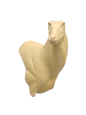NG267 - NILGAI