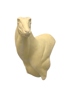 NG268 - NILGAI
