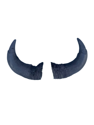 REPRO-BUFFALO