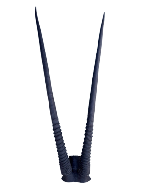 REPRO-GEMSBOK
